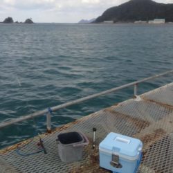 アジのサイズが良くなりました　下関フィッシングパーク